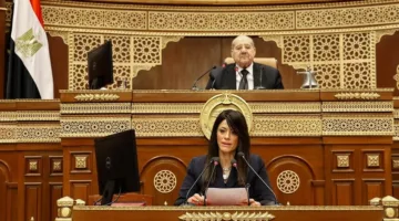 المشاط: بدأنا التحرر من الدائرة المغلقة.. ونسعى لتحقيق نمو بنسبة 4% في العام المالي المقبل.