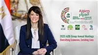 المشاط تصل الجزائر للمساهمة في الاجتماعات السنوية للبنك الإسلامي للتنمية