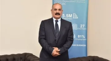 المكاوي: ينبغي أن تمنح الخريطة الاستثمارية الجديدة المزيد من الفرص للقطاع الخاص.