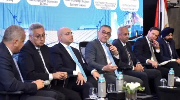 المنتدى المصري السويدي للأعمال يناقش فرص الاستثمار في القطاعات الاستراتيجية