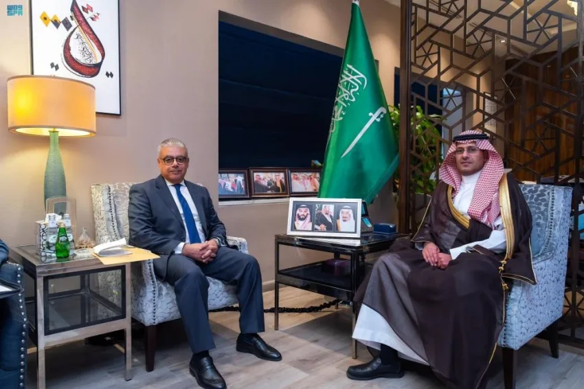 المنصوري يناقش القضايا المشتركة مع السفير المصري