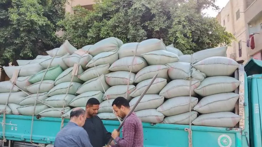 المنيا: استقبال 249 ألف طن من القمح بالشون والصوامع