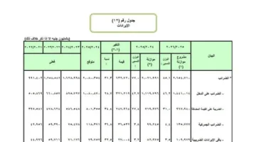 الموازنة الجديدة تتضمن 967.9 مليار جنيه كإيرادات من ضريبة القيمة المضافة على السلع والخدمات.