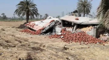 الموجة الـ26: إلغاء 66 حالة اعتداء على الأراضي الزراعية وممتلكات الدولة والبناء غير القانوني في المنيا