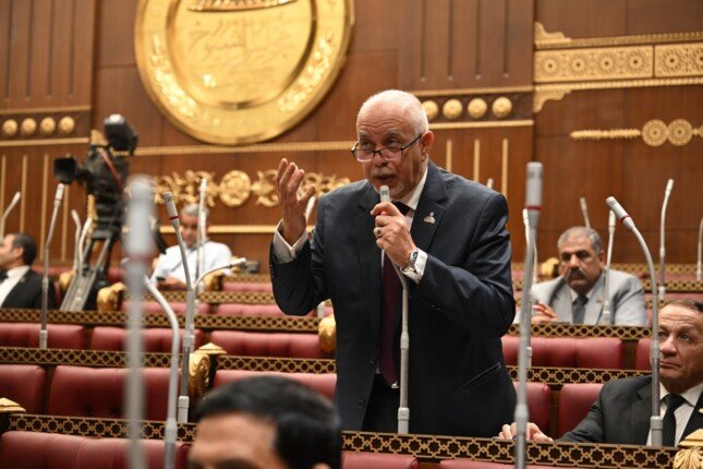 النائب حازم الجندي يطالب برعاية وتبني النشء المتميزين في الأمن السيبراني