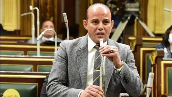 النائب عمرو القطامي: مصر وروسيا تربطهما علاقات متجذرة