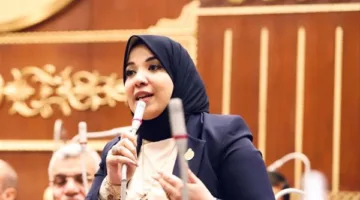 النائبة دينا هلالي: تغييرات قانون مجلس الشيوخ تعزز قيمة كل صوت انتخابي.