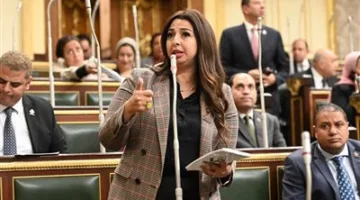 النائبة نشوي الشريف تتحدث عن تعديلات مشروعي قانون النواب والشيوخ: تأمين تمثيل منصف للمواطنين وفق أسس ديموغرافية وإدارية جديدة