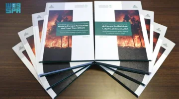 النباتات تُختتم بحثًا حول كيفية الوقاية من حرائق الغابات