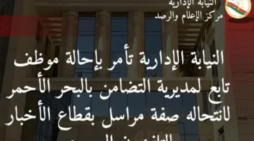 النيابة الإدارية تحيل موظفاً في وزارة التضامن الاجتماعي بتهمة انتحال صفة مراسل تلفزيوني.