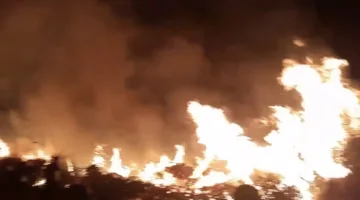 النيران تلتهم منطقة زراعية واسعة في قرية السيالة بدمياط