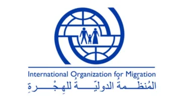 “الهجرة الدولية”: نزوح حوالي 180 ألف شخص من غزة قسراً في غضون 10 أيام فقط