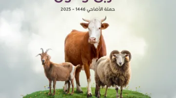 الهلال الأحمر القطري يبدأ حملة الأضاحي لعام 2025 تحت شعار “أضحيتك قربى وعون”