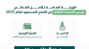 الهيئة العامة للأمن الغذائي تعلن عن إرساء الدفعة الثالثة من القمح المستورد لعام 2023