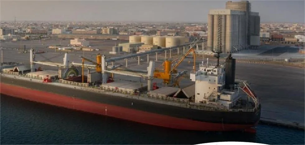 الهيئة العامة للأمن الغذائي تعلن عن توزيع الدفعة الثالثة من القمح المستورد. الهيئة العامة للأمن الغذائي تعلن عن توزيع الدفعة الثالثة من القمح المستورد.