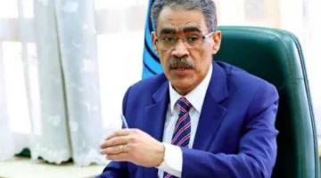 الهيئة العامة للاستعلامات: الإعلام العالمي يبرز تقدم الاقتصاد المصري نحو المسار الصحيح