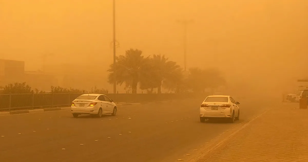 الهيئة الوطنية للأرصاد: وجود غبار في منطقة الباحة الهيئة الوطنية للأرصاد: وجود غبار في منطقة الباحة