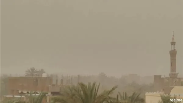 الوادي الجديد تعزز استعداداتها لمواجهة الأحوال الجوية السيئة الوادي الجديد تعزز استعداداتها لمواجهة الأحوال الجوية السيئة