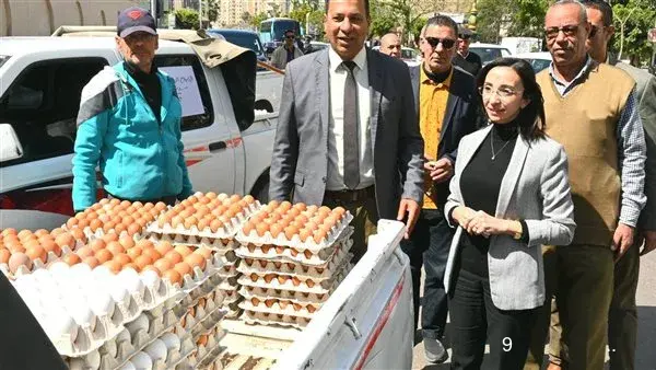 اليوم.. إطلاق قافلة تضم 9 سيارات لحوما بلدية ومواد غذائية وبيض مائدة بالبحيرة