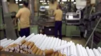 انخفاض بنسبة 27.44% في إنتاج التبغ بسبب تراجع الطلب على السجائر