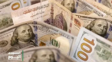انخفاض طفيف في سعر الدولار مقابل الجنيه المصري الخميس 15 مايو 2025