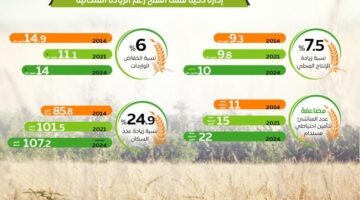 انطلاق موسم حصاد وتوريد القمح.. وسعر الأردب 2200 جنيه