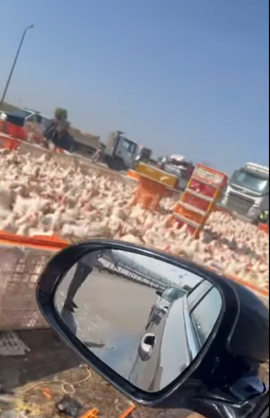 الحادث