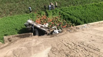 انقلاب شاحنة على الطريق الإقليمي في المنوفية وإصابة السائق