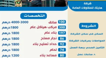 بأجر 4000 درهم.. 1072 فرصة عمل متاحة للشباب المصري في الإمارات