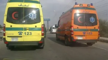 بالأسماء.. 7 عمال زراعيين يعانون من إصابات جراء حادث تصادم سيارات على الطريق الصحراوي بالبحيرة.