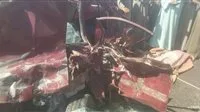 بالأسماء.. مصرع 3 أفراد وإصابة 20 آخرين جراء انقلاب سيارة نقل في الوادي الجديد