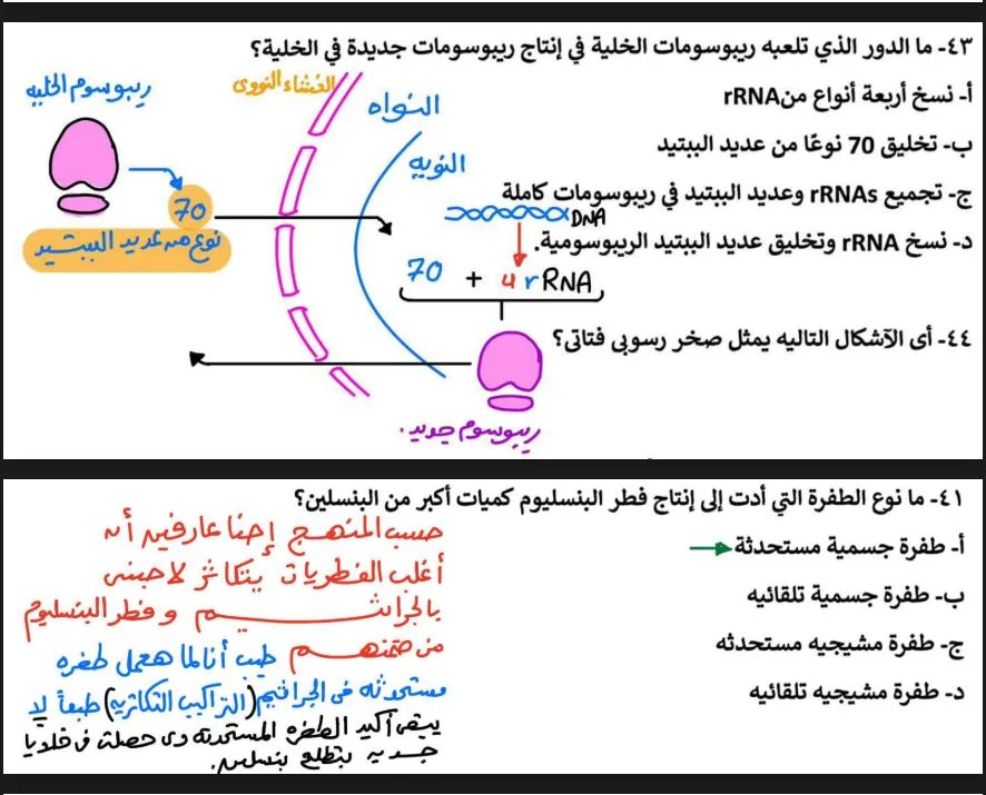 بالاجابات 43 سؤالا في الاحياء لـ الثانوية العامة 2025