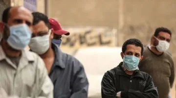 بالرقم القومي: خطوات ورابط الاستعلام عن منحة العمالة غير المنتظمة 2025