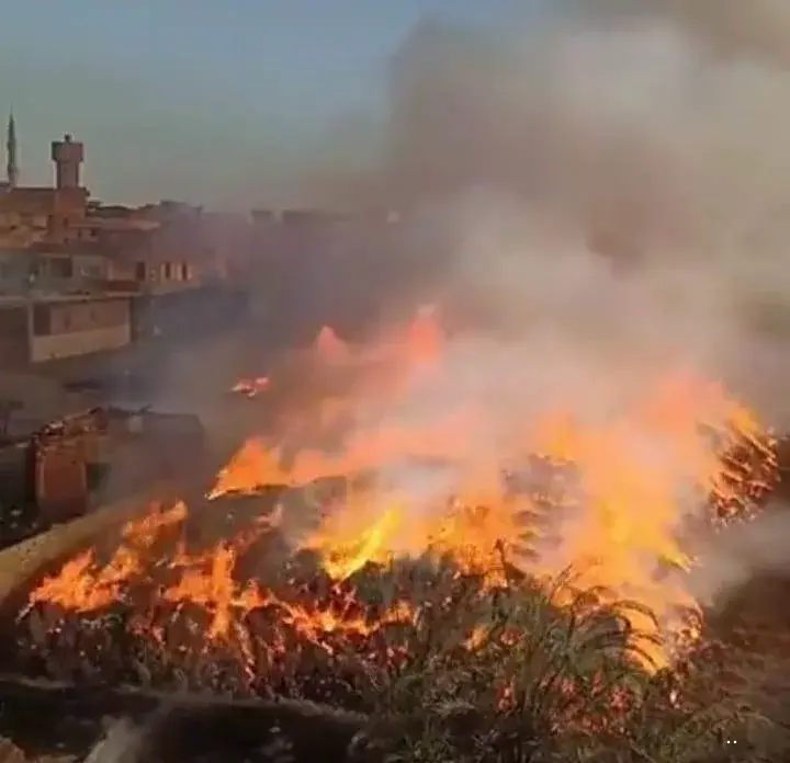 بالصور.. السيطرة على حريق شونة كتان في زفتى بالغربية
