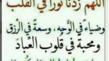 بالصور.. الغربية تعلن حالة التأهب القصوى خلال عيد الأضحى