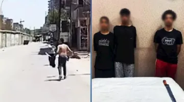 بالفيديو.. اعتقال 3 أفراد في القليوبية بسبب شجار باستخدام أسلحة بيضاء.