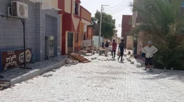 محافظ الوادي الجديد: تنفيذ رصف 35 ألف متر من الإنترلوك في مركزي الداخلة وباريس