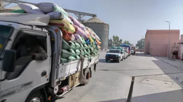 بتنسيق شامل بين الجهات المعنية، تم توريد أكثر من 254 ألف طن من القمح في البحيرة.