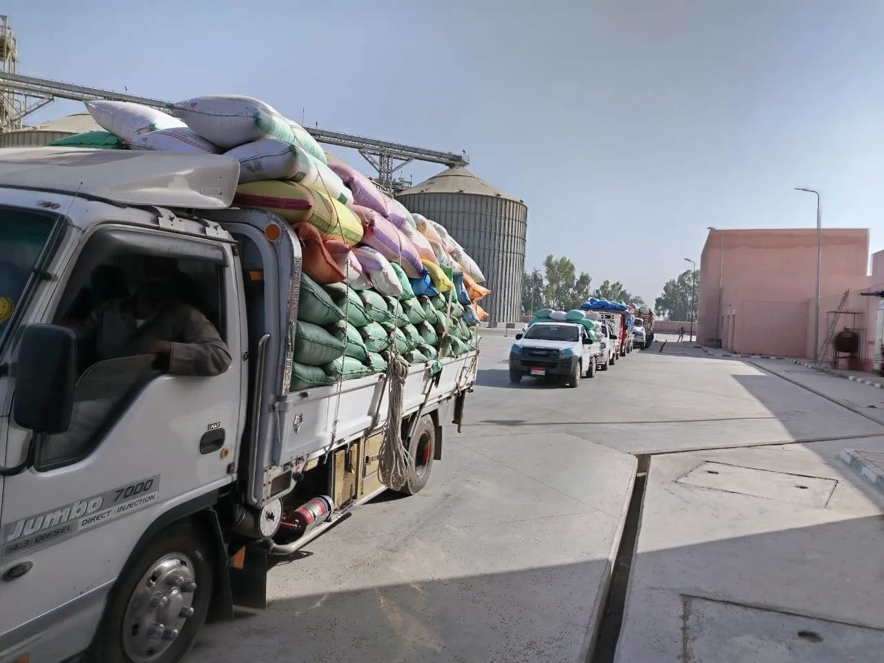 بتنسيق شامل بين الجهات المعنية، تم توريد أكثر من 254 ألف طن من القمح في البحيرة. بتنسيق شامل بين الجهات المعنية، تم توريد أكثر من 254 ألف طن من القمح في البحيرة.