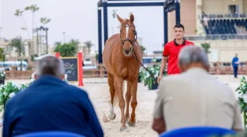 بحضور الرئيس السيسي.. افتتاح بطولة العالم العسكرية للفروسية الـ 25 بالعاصمة الجديدة