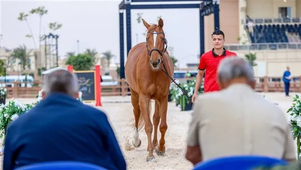 بحضور الرئيس السيسي.. افتتاح بطولة العالم العسكرية للفروسية الـ 25 بالعاصمة الجديدة