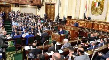 بحضور مايا مرسي.. تضامن النواب تناقش خطة التنمية الاقتصادية والاجتماعية لبنك ناصر