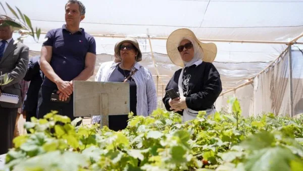 بحوث الصحراء يبحث مع “إيكاردا” سبل تعزيز الاستدامة الزراعية بمطروح