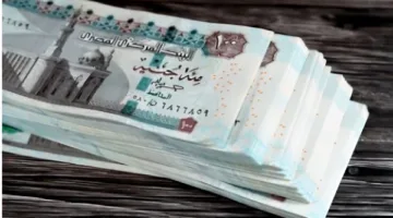 بدء توزيع رواتب مايو 2025 لجميع موظفي الدولة خلال الساعات القادمة