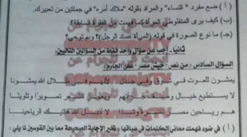 برعاية “شاومينج”: تسريب أسئلة امتحان اللغة العربية للدبلومات الفنية 2025