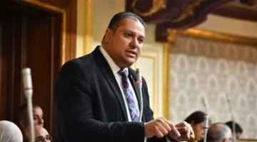 برلماني: التغيرات السكانية تستدعي تعديل توزيع الدوائر الانتخابية.