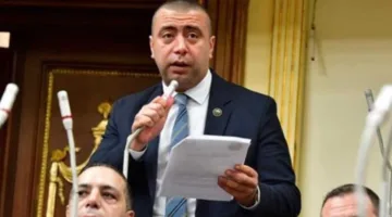 برلماني: تعديل قانون تقسيم الدوائر يحقق توازنًا في التمثيل السكاني