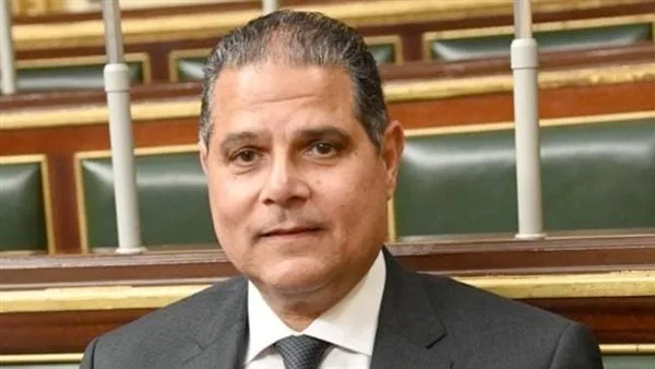 برلماني: قانون الإجراءات الجنائية الجديد أرسى آليات حديثة لمراقبة مراحل التحقيق