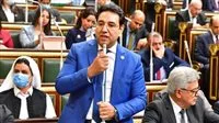 برلماني يحذر من “العسل المقلد”: الاحتيال التجاري يشكل خطرًا على صحة المصريين