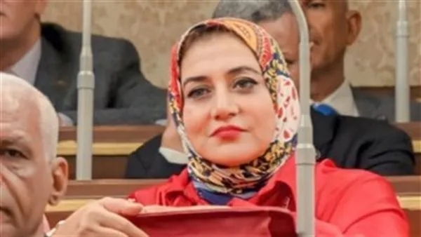 برلمانية تطالب بالتحقيق في شكاوى أعطال السيارات بسبب جودة البنزين